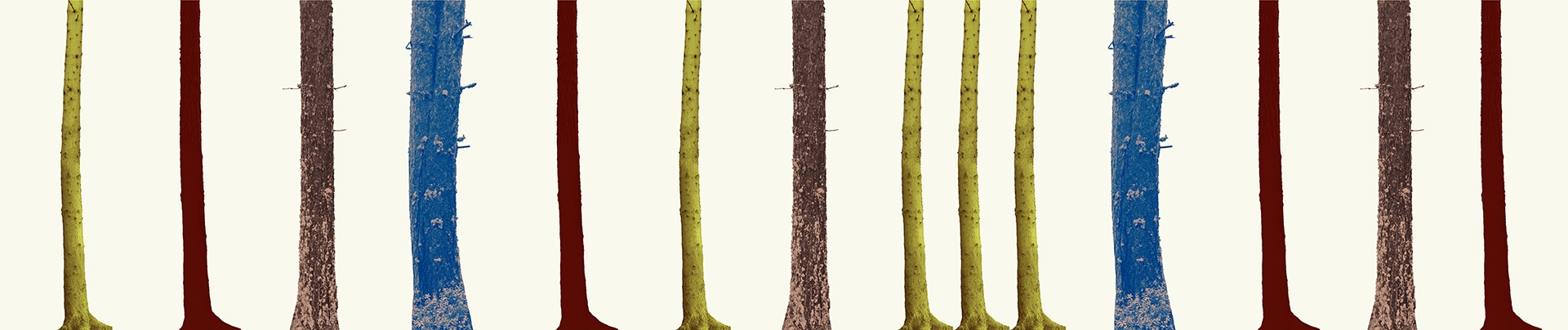 Trees