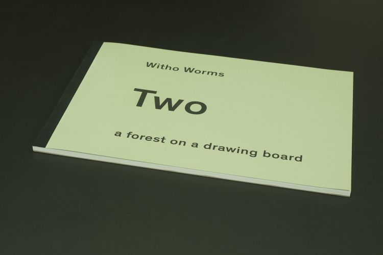 Two: forest on a drawing board